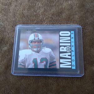 Dan Marino #314